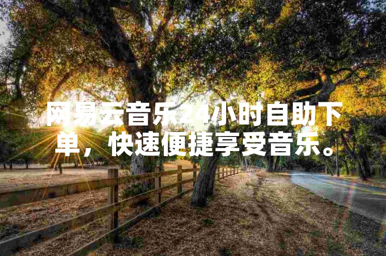 网易云音乐24小时自助下单，快速便捷享受音乐。