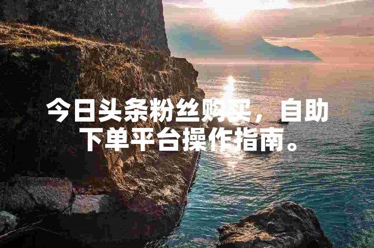 今日头条粉丝购买，自助下单平台操作指南。