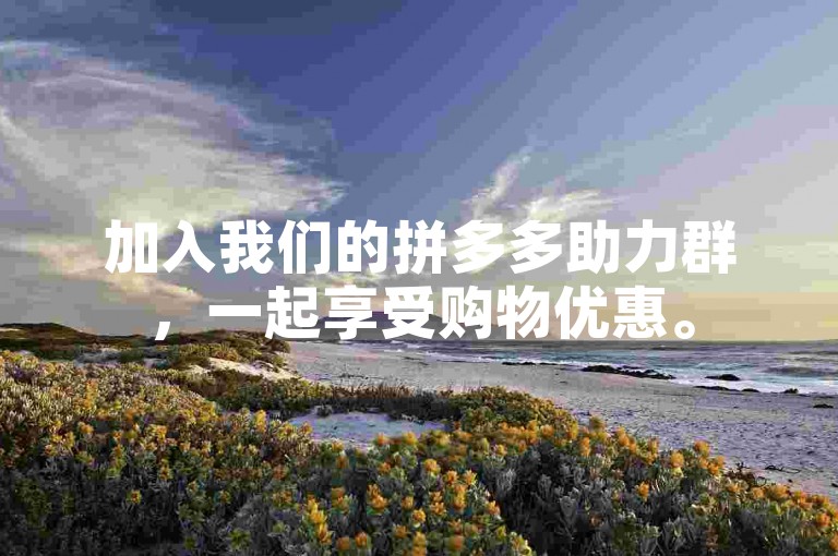 加入我们的拼多多助力群，一起享受购物优惠。