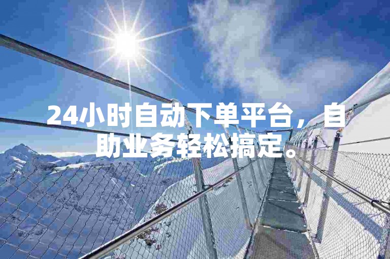 24小时自动下单平台，自助业务轻松搞定。