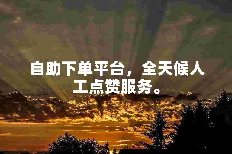自助下单平台，全天候人工点赞服务。
