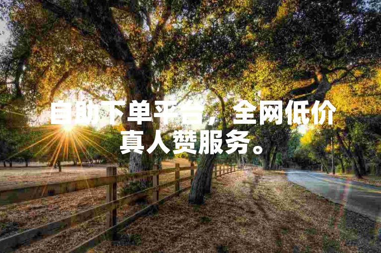 自助下单平台，全网低价真人赞服务。