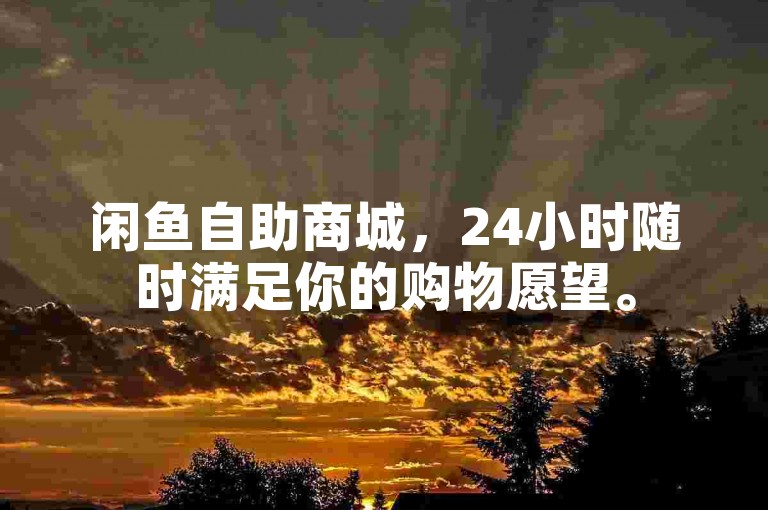 闲鱼自助商城，24小时随时满足你的购物愿望。