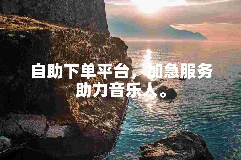 自助下单平台，加急服务助力音乐人。
