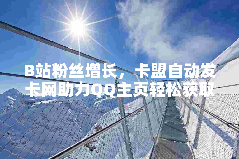B站粉丝增长，卡盟自动发卡网助力QQ主页轻松获取大量赞。