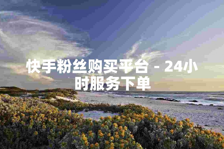 快手粉丝购买平台 - 24小时服务下单
