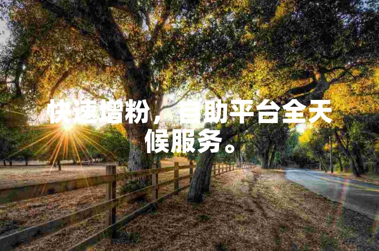 快速增粉，自助平台全天候服务。
