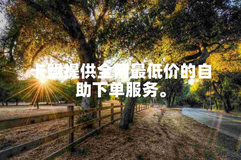 卡盟提供全网最低价的自助下单服务。