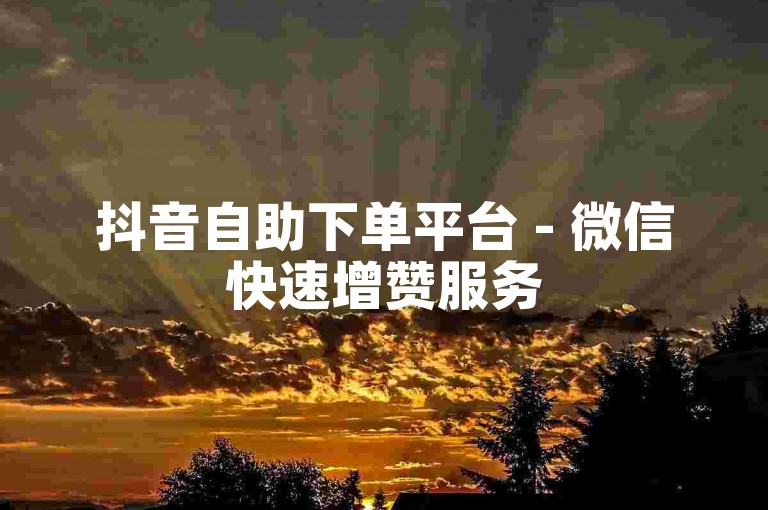 抖音自助下单平台 - 微信快速增赞服务