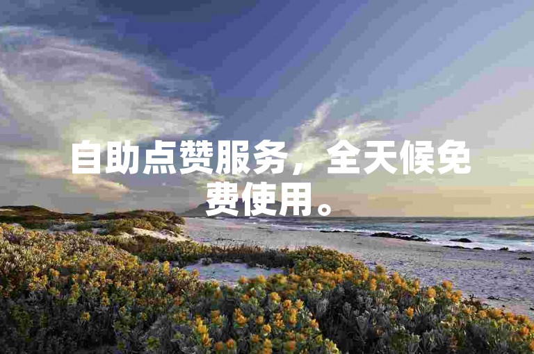 自助点赞服务，全天候免费使用。