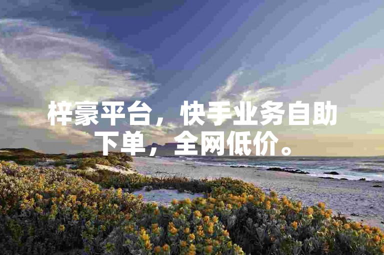 梓豪平台，快手业务自助下单，全网低价。