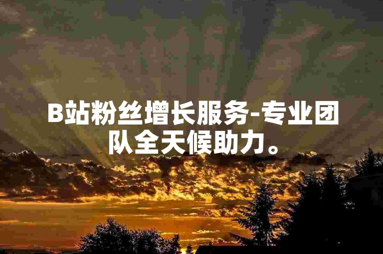 B站粉丝增长服务-专业团队全天候助力。