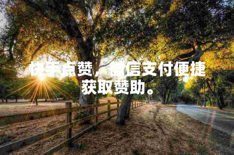 快手点赞，微信支付便捷获取赞助。