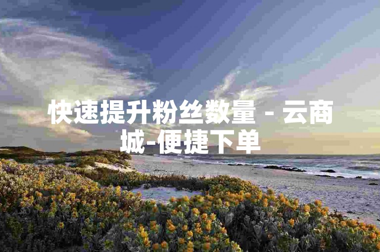 快速提升粉丝数量 - 云商城-便捷下单