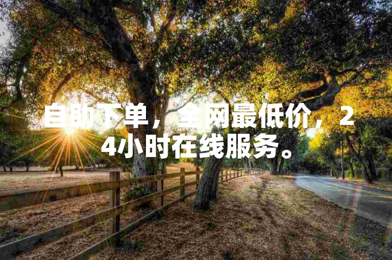 自助下单，全网最低价，24小时在线服务。
