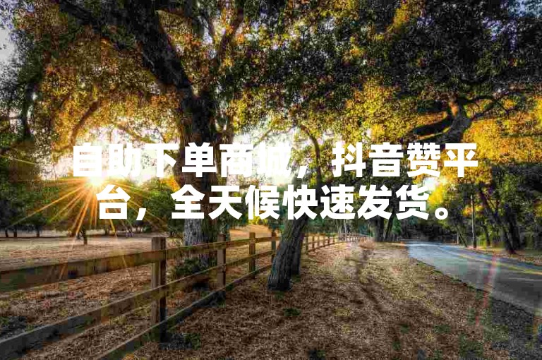 自助下单商城，抖音赞平台，全天候快速发货。