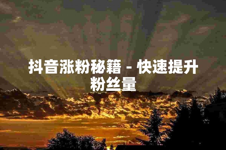 抖音涨粉秘籍 - 快速提升粉丝量