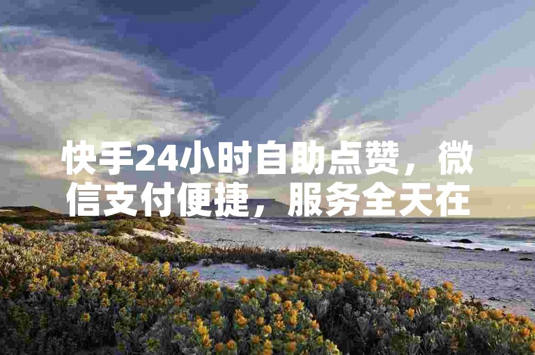快手24小时自助点赞，微信支付便捷，服务全天在线。