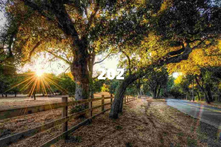 2025拼多多砍价免费领商品多多助力新人
