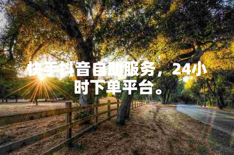 快手抖音自助服务，24小时下单平台。