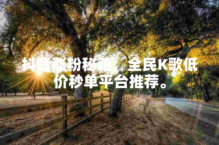 抖音涨粉秘籍，全民K歌低价秒单平台推荐。