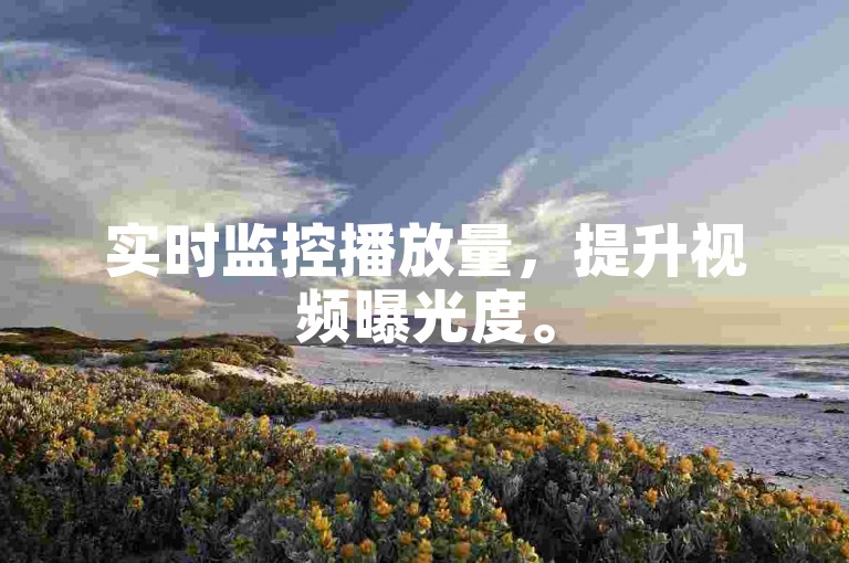 实时监控播放量，提升视频曝光度。