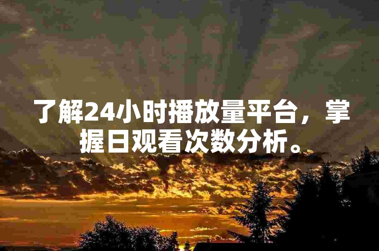 了解24小时播放量平台，掌握日观看次数分析。