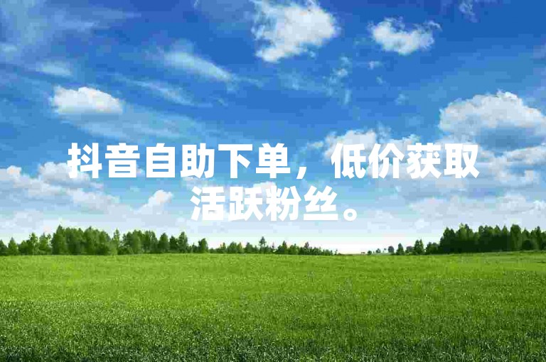 抖音自助下单，低价获取活跃粉丝。