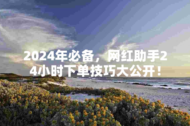 2024年必备，网红助手24小时下单技巧大公开！