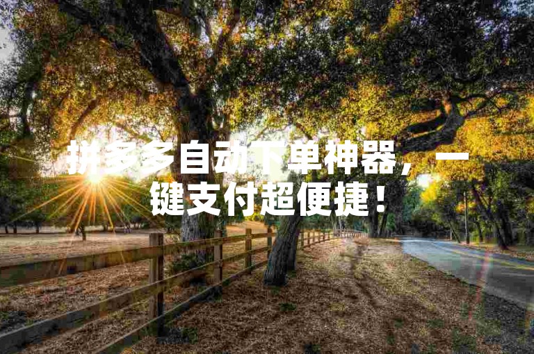 拼多多自动下单神器，一键支付超便捷！