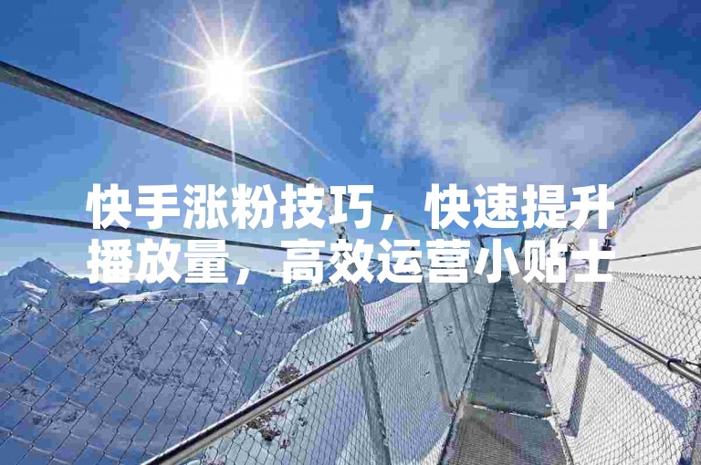 快手涨粉技巧，快速提升播放量，高效运营小贴士。