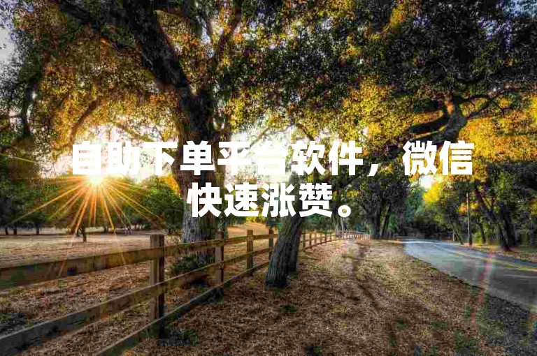 自助下单平台软件，微信快速涨赞。