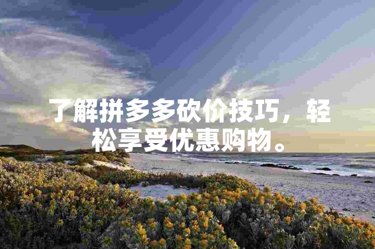 了解拼多多砍价技巧，轻松享受优惠购物。