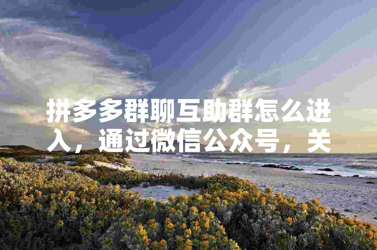 拼多多群聊互助群怎么进入，通过微信公众号，关注一些提供拼多多互助群信息的公众号，扫描二维码或点击链接加入。，使用微信搜索，在微信中输入拼多多互助群或拼多多砍价群，找到并加入。，利用QQ功能，在QQ中搜索拼多多砍价群或拼多多互助群，选择群组并加入。