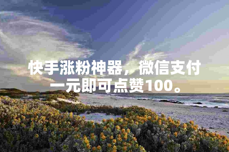 快手涨粉神器，微信支付一元即可点赞100。