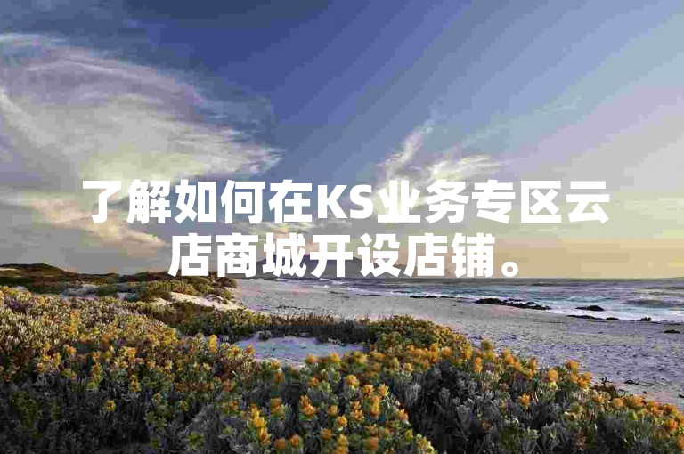 了解如何在KS业务专区云店商城开设店铺。