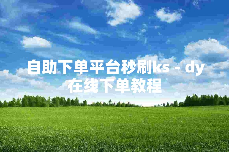 自助下单平台秒刷ks - dy在线下单教程