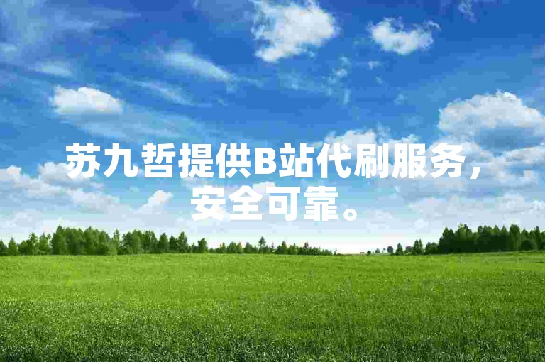 苏九哲提供B站代刷服务，安全可靠。