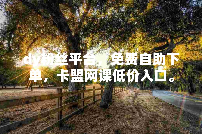 dy粉丝平台，免费自助下单，卡盟网课低价入口。