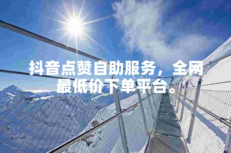 抖音点赞自助服务，全网最低价下单平台。