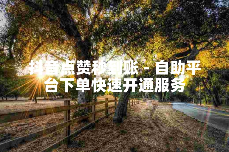 抖音点赞秒到账 - 自助平台下单快速开通服务