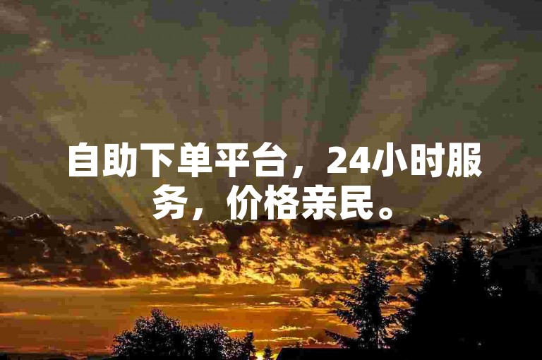 自助下单平台，24小时服务，价格亲民。