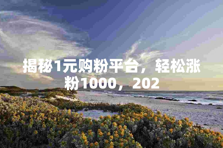 揭秘1元购粉平台，轻松涨粉1000，2025必备技巧！