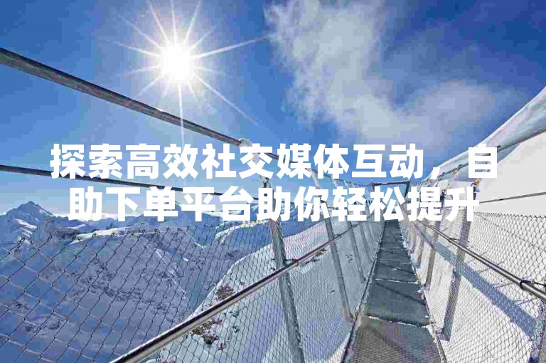 探索高效社交媒体互动，自助下单平台助你轻松提升影响力。