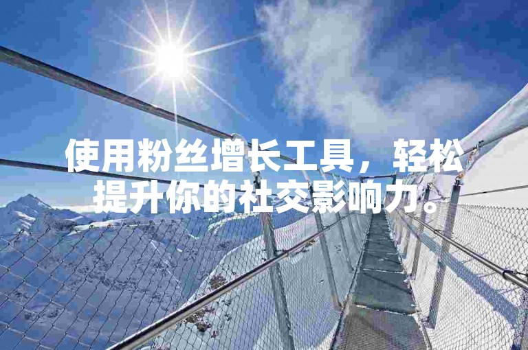 使用粉丝增长工具，轻松提升你的社交影响力。