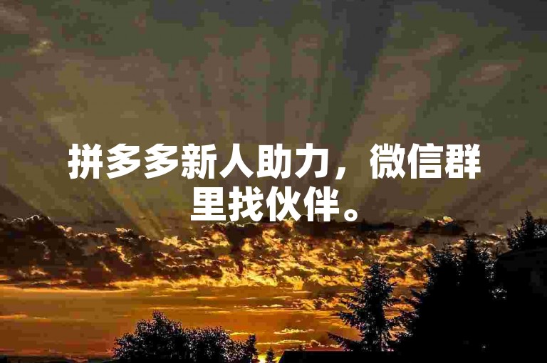 拼多多新人助力，微信群里找伙伴。