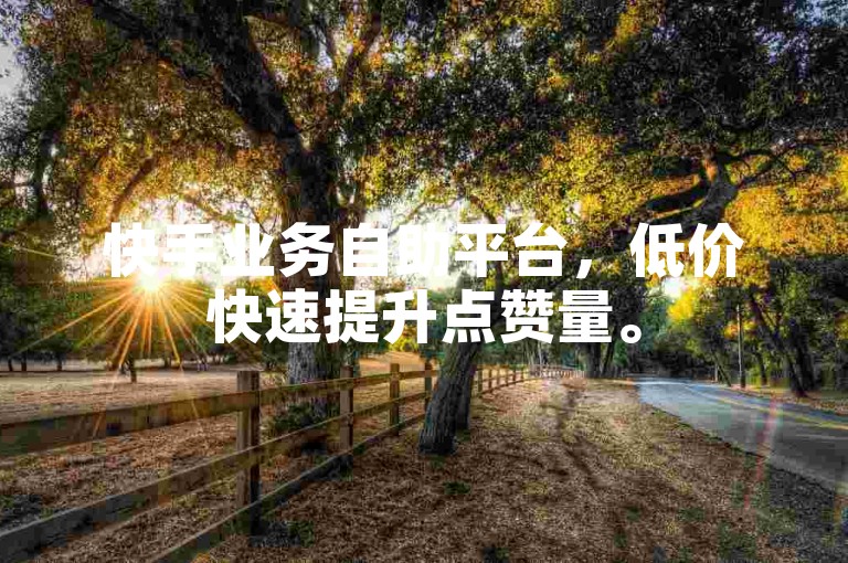 快手业务自助平台，低价快速提升点赞量。