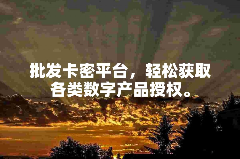 批发卡密平台，轻松获取各类数字产品授权。