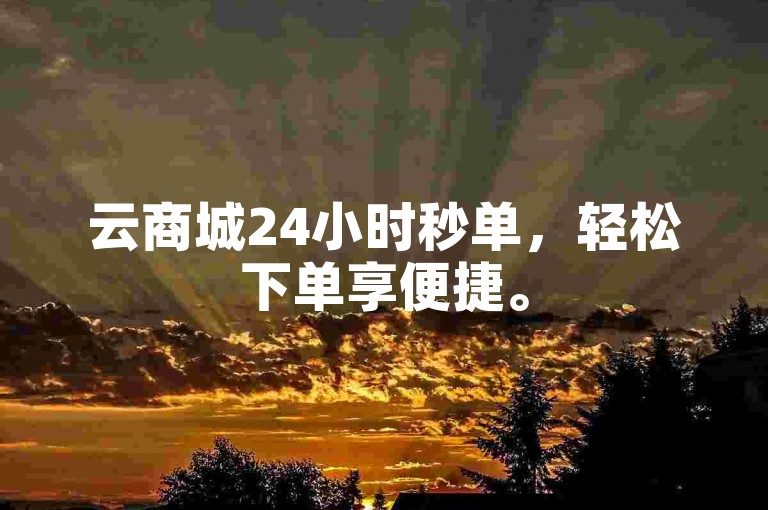 云商城24小时秒单，轻松下单享便捷。