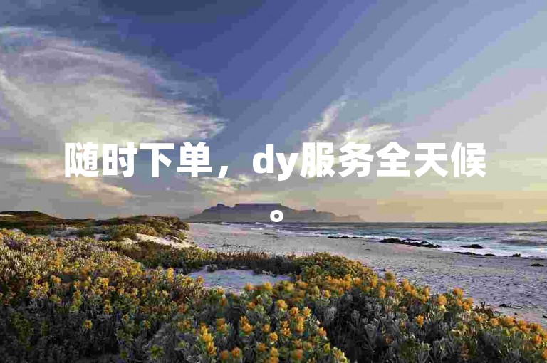 随时下单，dy服务全天候。
